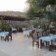 Patara Delfin Hotel